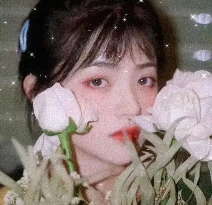 芳心天涯